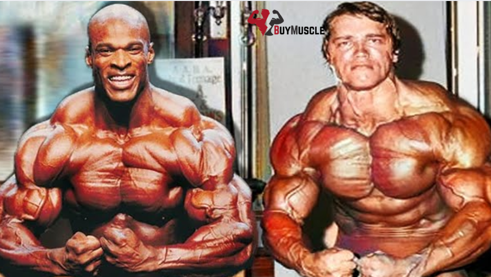 Who Would Win in Their Prime, Arnold Schwarzenegger or Ronnie Coleman?