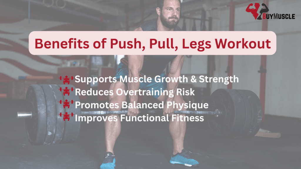 Benefits of Push-Pull Legs Training