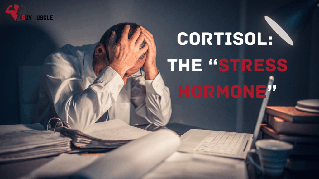Fighting Cortisol to Preserve Muscle Strength Naturally