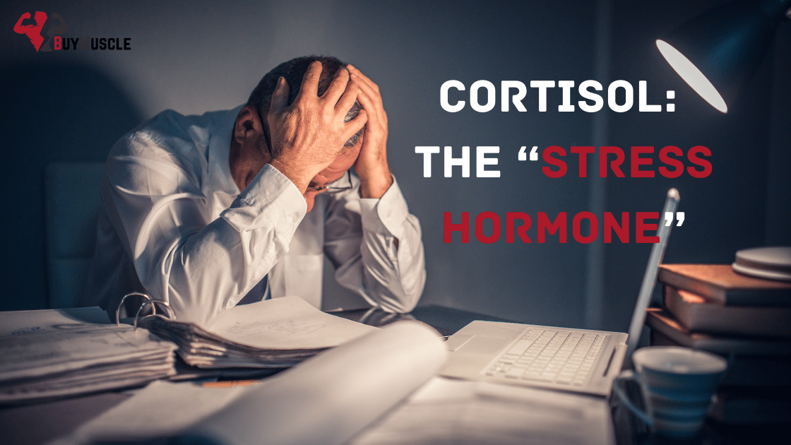 Fighting Cortisol to Preserve Muscle Strength Naturally