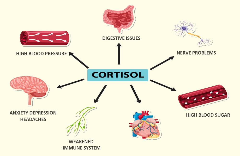 High Level Cortisol symptoms