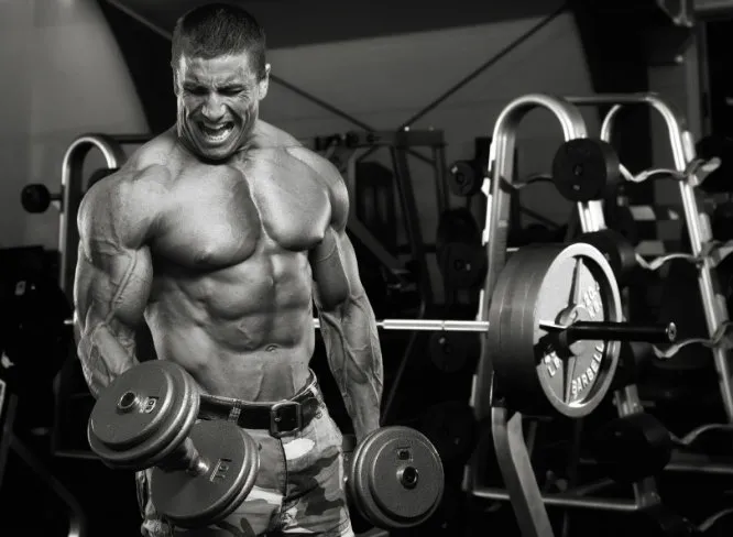 Understanding High-Volume Training