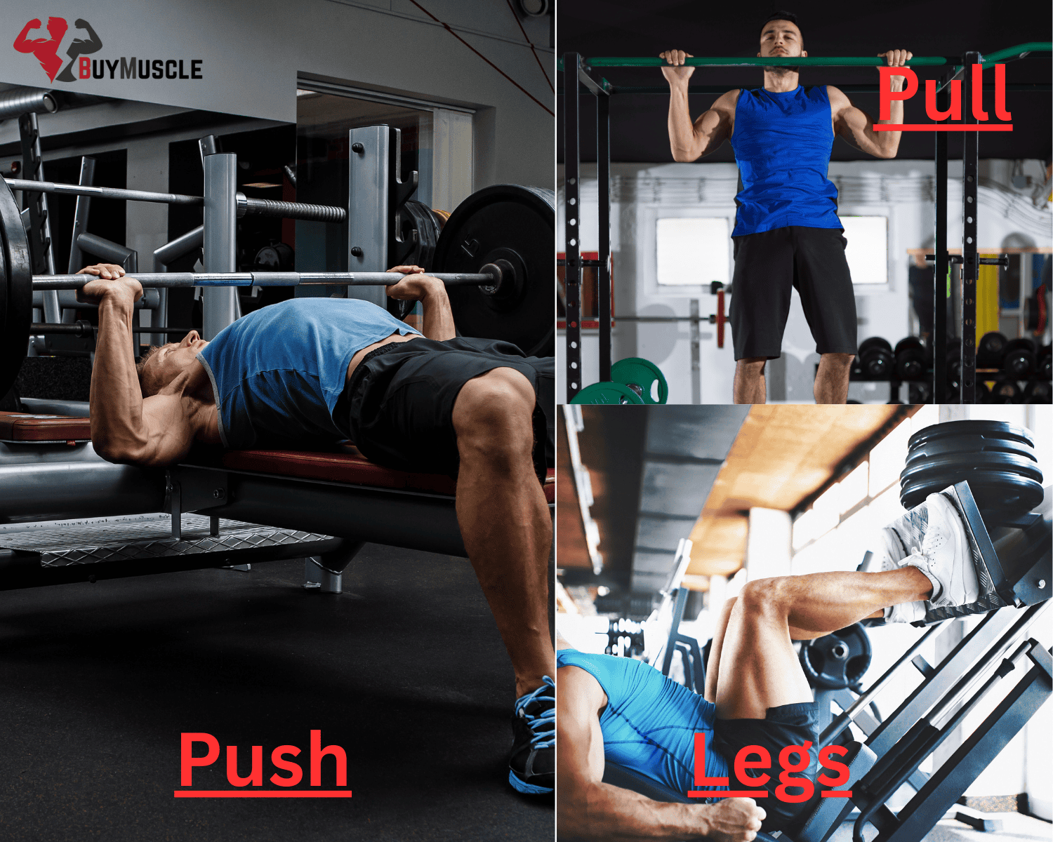 Why the Push Pull Legs Routine Is the GOAT of Workout Splits