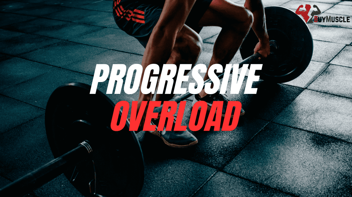 Why Progressive Overload Is the Foundation of Real Fitness Gains