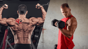Back and Bicep Workouts to Build Bigger Arms and a Stronger Back