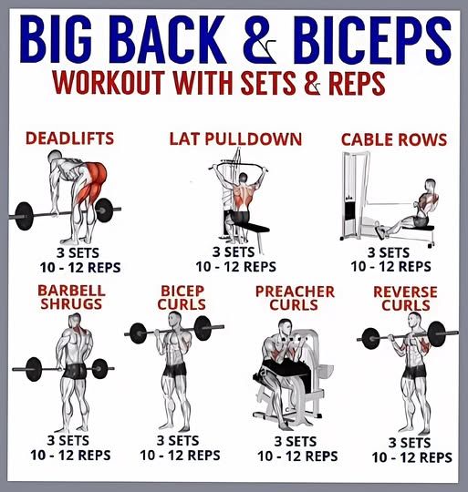 Big Back and Bicep Workouts with Sets & Reps