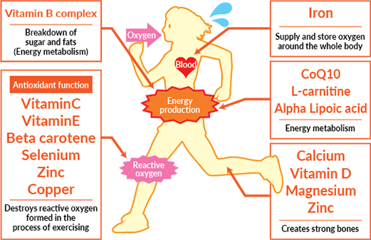 Essential Nutrients Lifters and Athletes Should Prioritize