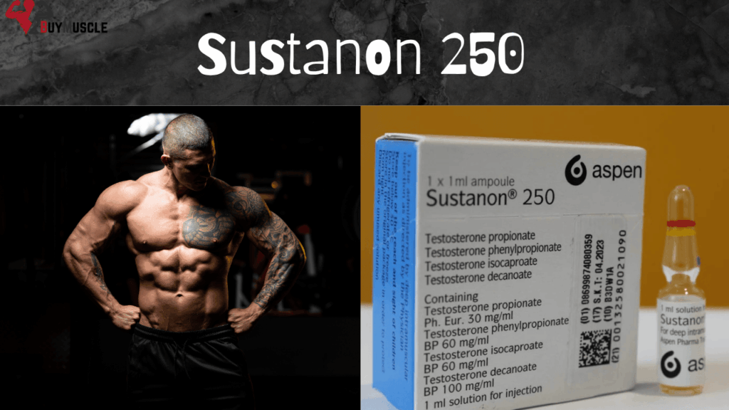 A Closer Look at Sustanon 250 Injection and Potential Side Effects