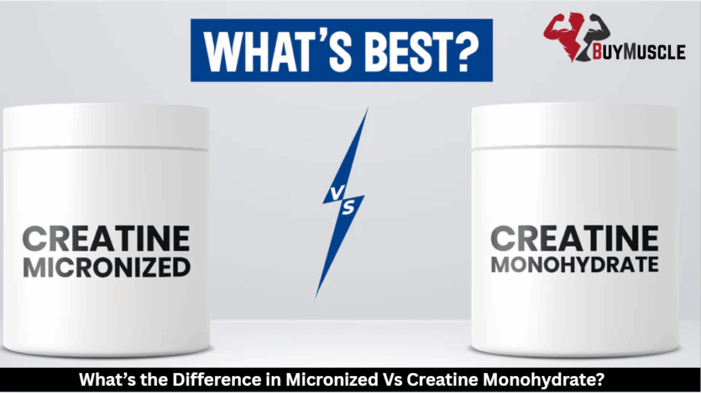 Micronized Vs Creatine Monohydrate