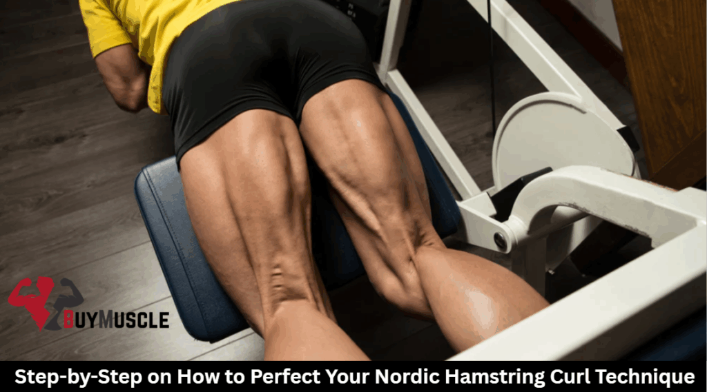 Nordic Hamstring Curl