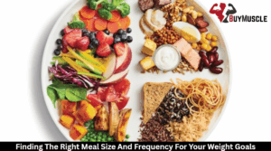 Meal Size And Frequency