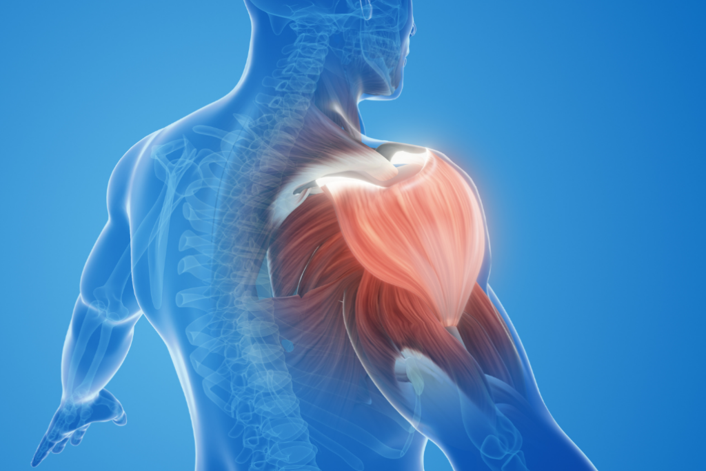 Electrolytes Control Muscle